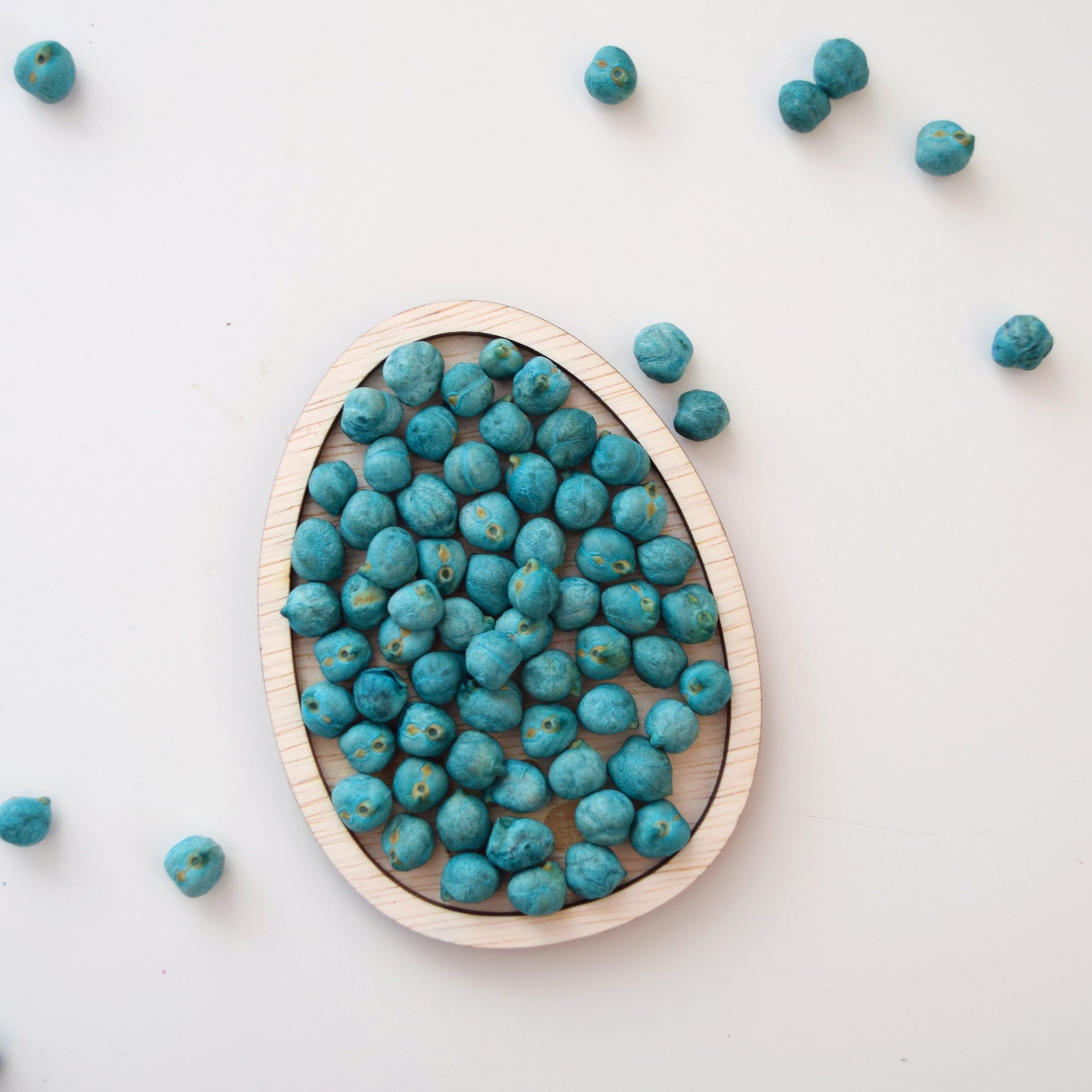 vulvormen dinosaurus